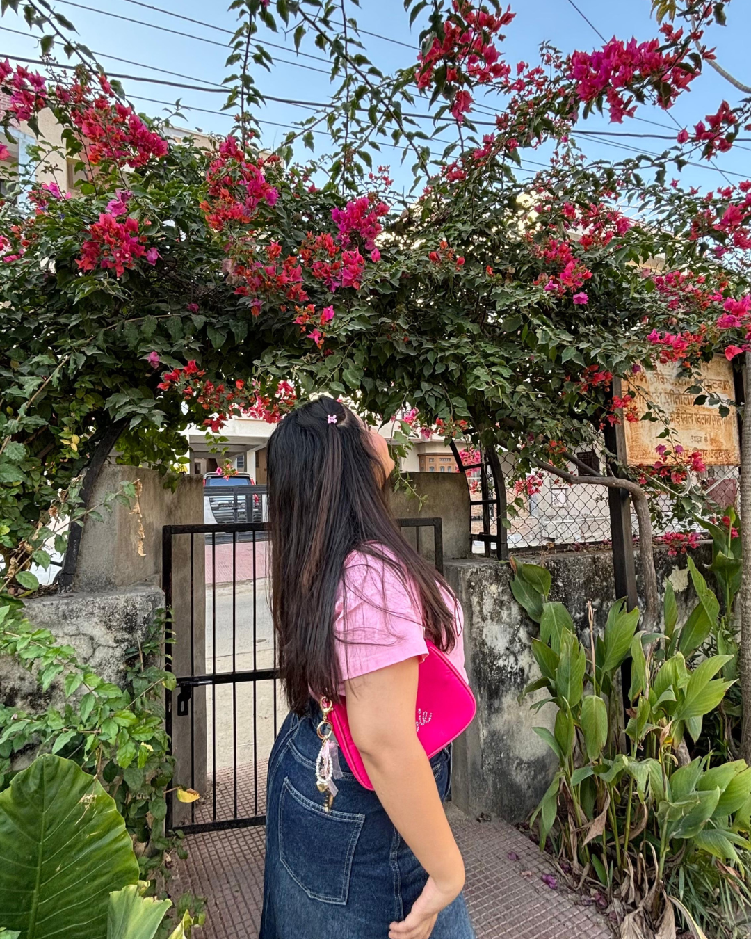 Pink